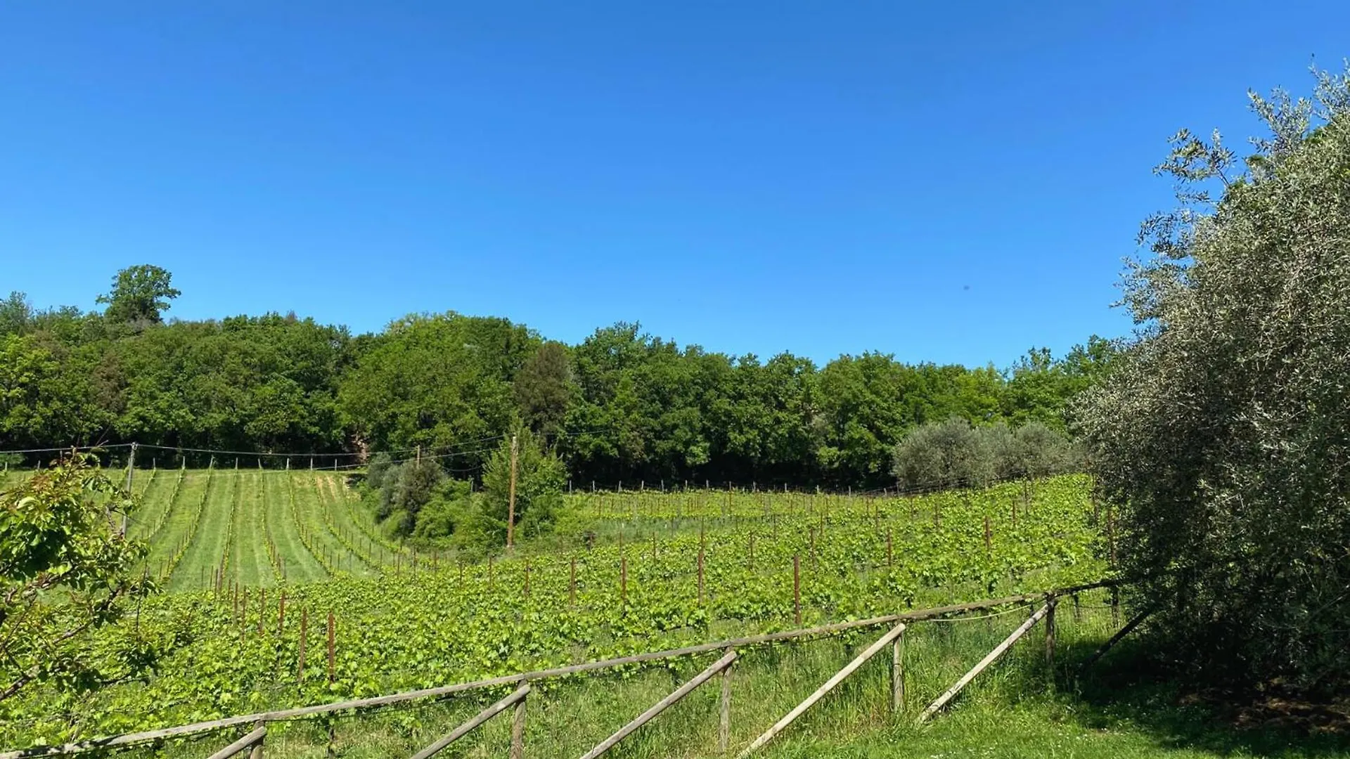 Agriturismo Borgo 7 Tigli - Apt 5 Montepulciano Stazione